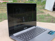 Ansicht stark seitlich