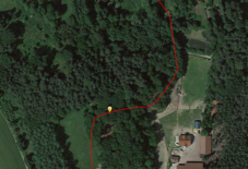 GPS Samsung Xcover 3 (Wald)