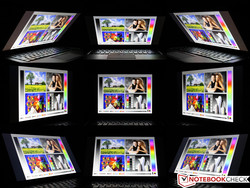 Blickwinkel ThinkPad T450s (FHD-IPS)