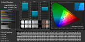 CalMAN ColorChecker: In Summe ein niedriges DeltaE von 5.