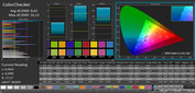 CalMan Farbgenauigkeit