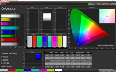 CalMAN Colorspace (Profil: Lebhaft, Zielfarbraum AdobeRGB)