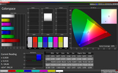 CalMAN Colorspace (Profil: Lebhaft, Zielfarbraum sRGB)
