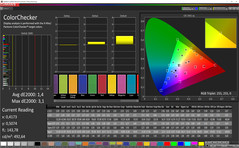 Colorchecker im sRGB-Farbraum: mittleres dE von 1,4 ist sehr gut, maximal 3,1, nur für Profis sichtbar.