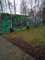 Frontkamera-Aufnahme