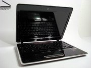 Insgesamt spiegelnde Erscheinung mit starkem Pflegeanspruch.