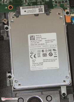 Ein schneller Tausch der SSD ist möglich.