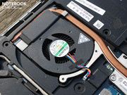 und den bedächtig operierenden Lüfter.