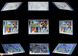 Blickwinkel Asus F550DP-XX022H