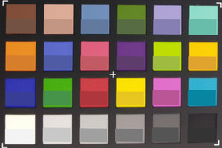 ColorChecker PassPort: Die Referenzfarben sind in der unteren Hälfte jedes Patches abgebildet.