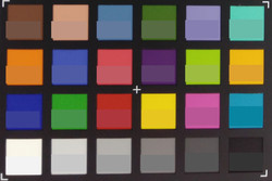 abfotografierte ColorChecker-Farben: Originalfarben in der unteren Hälfte jedes Patches