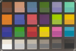ColorChecker Passport: In der unteren Hälfte jedes Feldes werden die Zielfarben dargestellt.