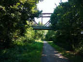 Moto X Play - im Freien