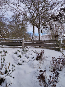 HDR-Aufnahme mit der Frontkamera (Klick für Original)