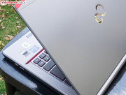 ...die Farbigkeit des Umgebungslichtes wider.