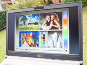 Sogar von der Seite kann man noch alles erkennen, ...