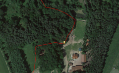 Motorola Moto G (3. Gen)