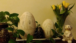 Frontkamera - Wohnraum mit Kunstlicht (Klick für Original)