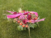 Google Nexus 4 (8 Megapixel): Pflanze