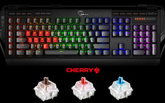 Hochwertige Cherry-Switches: Gaming-Tastaturen müssen viel aushalten.