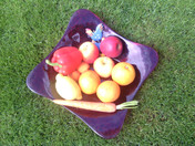 HP Slate 7 VoiceTab Obst