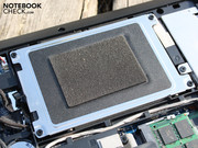 Vor den typischen Vibrationen der 7200 U/Min HDD schützt eine gummierte Lagerung.