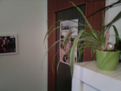 Rückwärtige Kamera: 2 MP