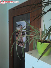 Hauptkamera mit AF und LED-Blitz 8 MP