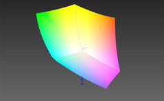 sRGB-Abdeckung: 99,84 %
