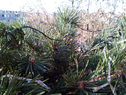 Aufnahme Frontkamera