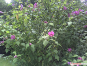 Außenaufnahme (Hauptkamera)