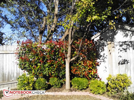 5 MP Kamera auf der Rückseite, Außenaufnahme