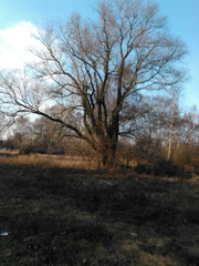 Aufnahme mit der Webcam