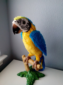 Rückwärtige Kamera in Räumen