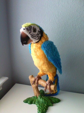 Frontkamera in Räumen