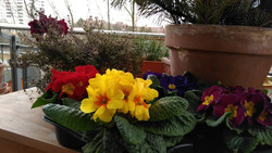 Aufnahme Frontkamera