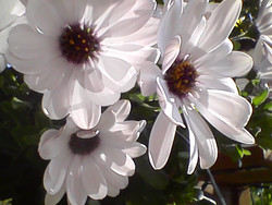 Aufnahme Frontkamera