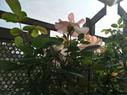 Aufnahme Frontkamera