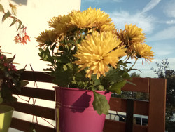 Aufnahme Frontkamera