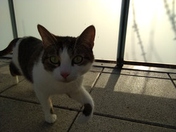 Frontkamera-Aufnahme bei gedämpften Gegenlicht.