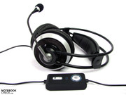 runde Ohrmuscheln können gewöhnungsbedürftig sein