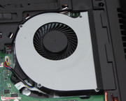 Der Lüfter kann zwecks Reinigung ausgebaut werden.