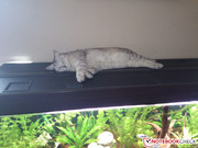 Ergebnisse sind ernüchternd.