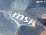 MSI-Logo in Hochglanz-Einfassung