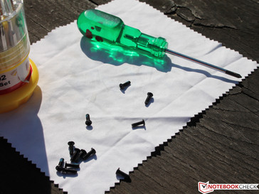 Kleiner Kreuzschrauber genügt