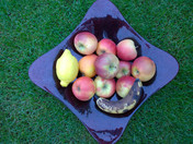 Nokia Lumia 1020 Obst