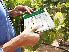 Office erscheint noch dieses Jahr für Android-Tablets (Bild: Microsoft)