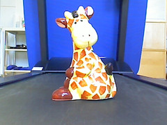 PHILIPS – Webcam pro SPC2050NC