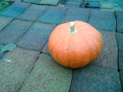 Rear 5MP  2592x1944 unscharf