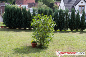 Canon EOS 60D, 18 MP, Automatik